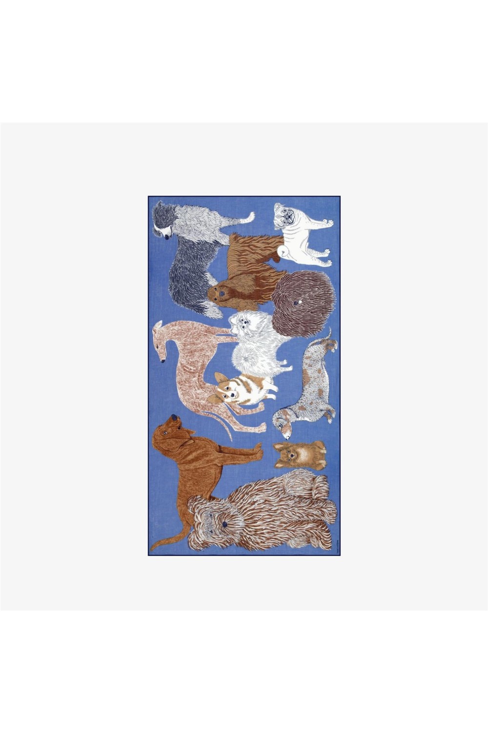Foulard de mujer Toutou...