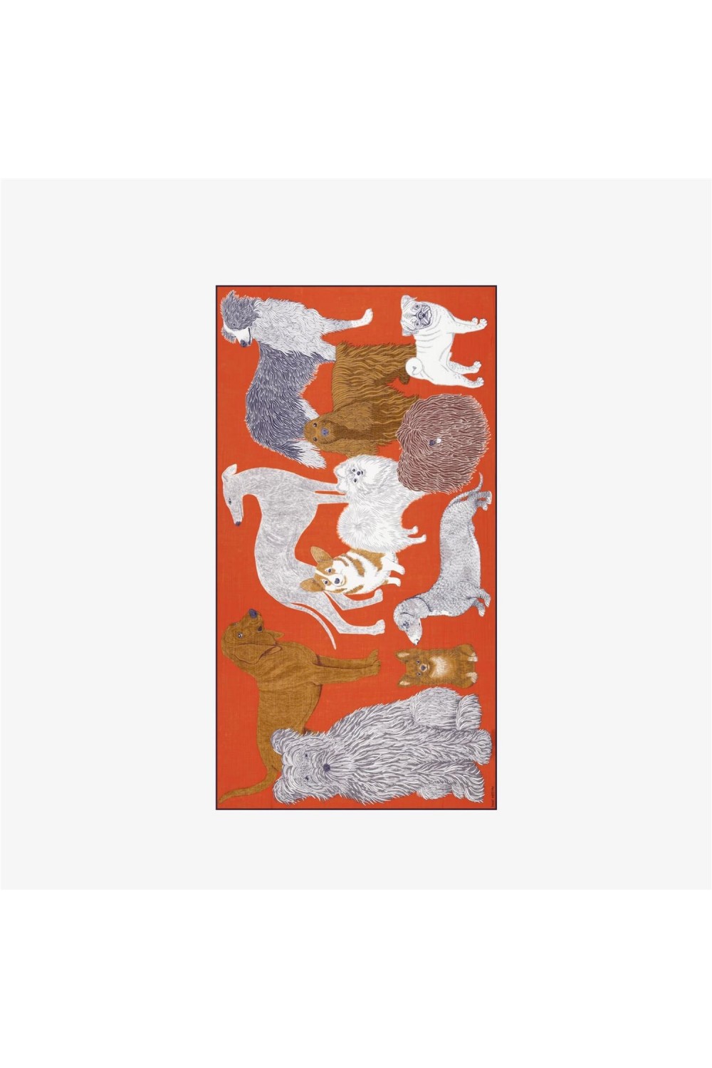 Foulard de mujer Toutou...